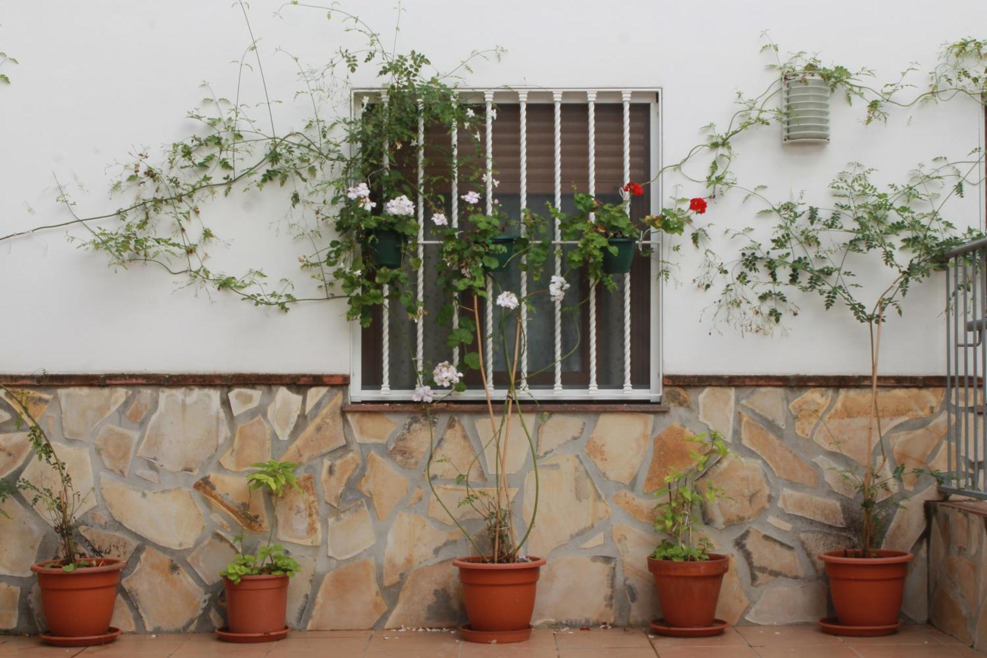 Apartament Casa Secreta Velez-Malaga Centro Zewnętrze zdjęcie