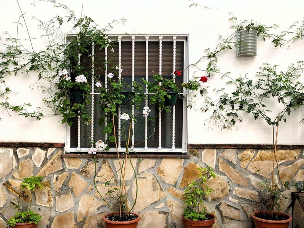 Apartament Casa Secreta Velez-Malaga Centro Zewnętrze zdjęcie